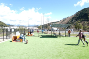 きれいな人工芝に！