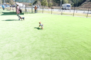 ふうたもランラン