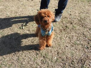 ふうた楽しかったね