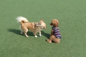 変な座り方してるふうた