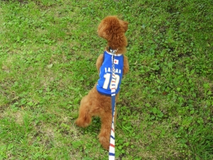 もっと近くでみたいよー