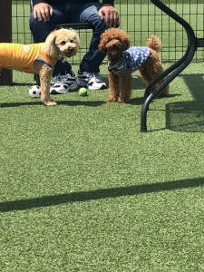 同じ日に生まれた子と会ったよ