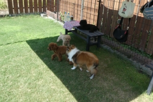 だんだん打ち解けてきて