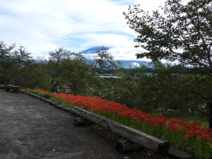 天気がよければ富士山も