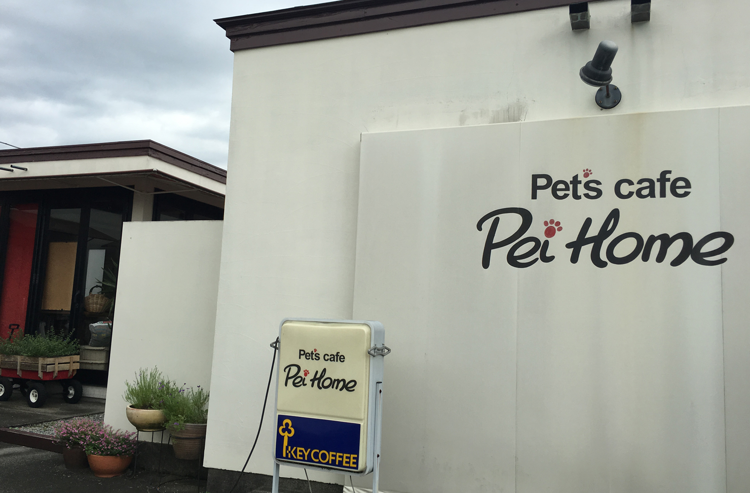 Pet’s cafe pei home（ペイホーム）-ドッグカフェ（富士宮市）