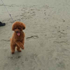 後ろが海だよー