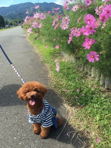 フォトジェニックに撮れた写真