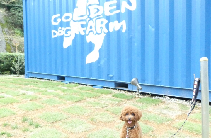 GOLDEN DOG FARm（ゴールデンドッグファーム）-静岡市葵区水見色
