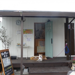 看板犬のモモちゃんがいますね