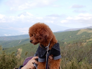 まだ写真撮るのー？