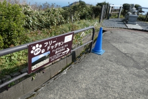 ドッグランへ向かいますー