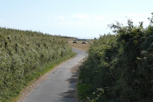 なんか見えてきたー