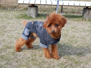 楽しめたかな？