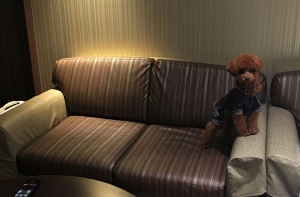 ラフォーレ倶楽部 箱根強羅 湯の棲（箱根）わんちゃんと宿泊できる宿