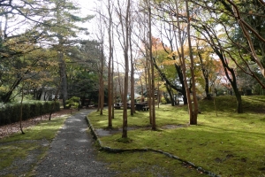 きれいな公園です