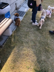 最後にもうちょっと遊んで