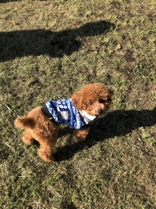 洋服とマフラーをゲット