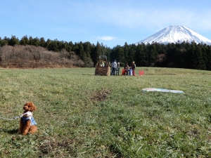 熱気球バックに