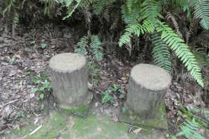 椅子も時々あります