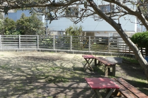 ドッグガーデン風景