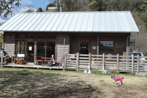 庭側からみたお店