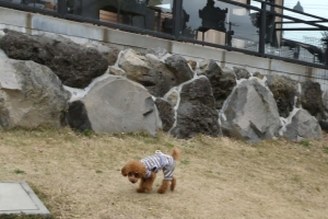 いつものように探検探検