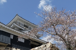 この日はいいお天気