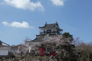 浜松城遠くから撮ったところ