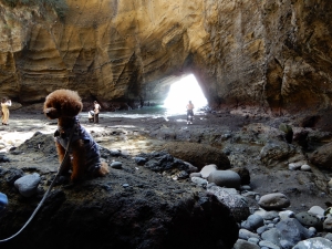 奥に三角の穴が。