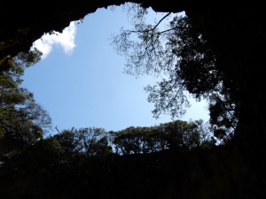 上を向くとぽっかり空が見えます