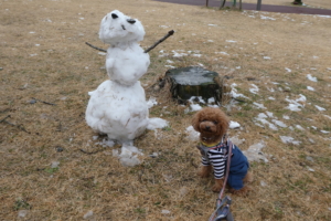 雪だるまとふうた