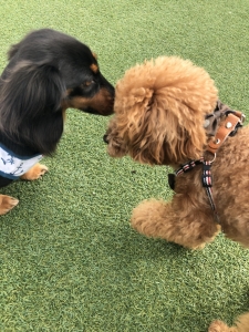 かわいい女の子きたー