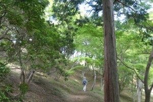 人はあまりいない