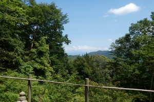 この日は雲があってちょっと残念