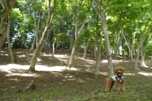 いい感じに撮れました