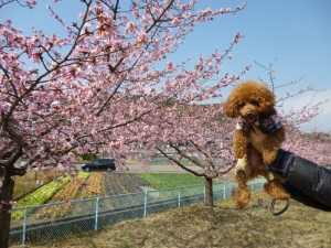 ふうたとパチリ