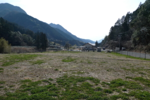 ドッグラン広いー