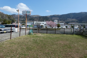 ドッグラン写真