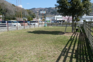 ドッグラン写真