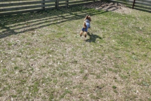 走り出したと思ったら