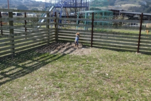 向こうの公園で遊んでる子が気になったみたい