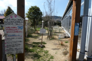 テラスがありますねー