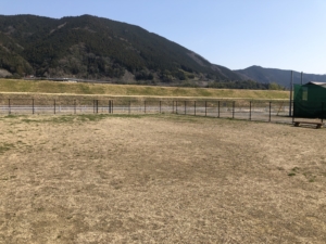 ドッグラン全景