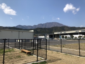 ドッグラン全景