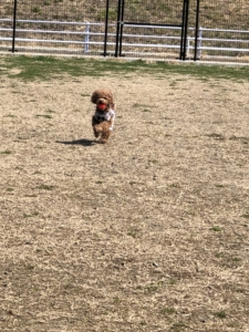 ランランスタート