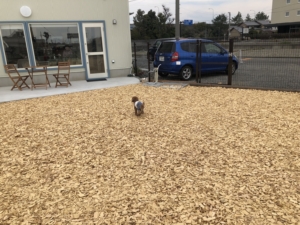 まずはふうたにおトイレタイムをば