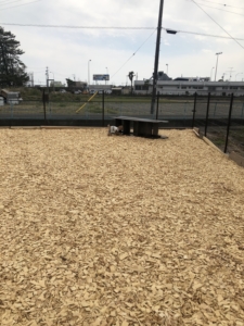 なんか入れる感じの棚が置いてありました