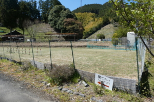 ドッグラン見えてきました