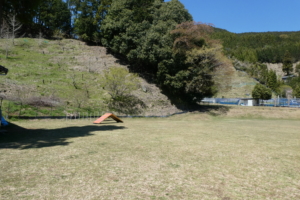 奥にはアジリティーも。