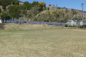 斜めになっているところもあります